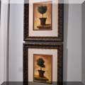 A10. Framed topiary prints. 